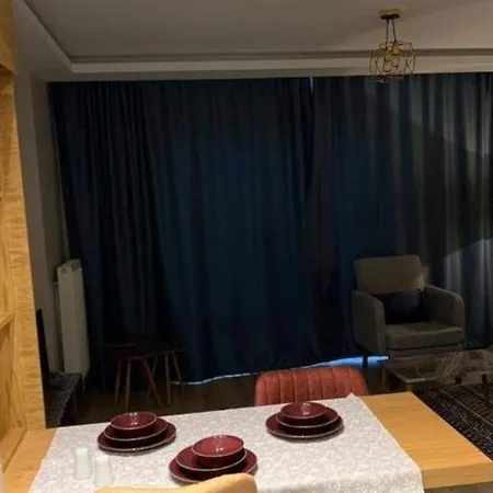1+1 Cozy Apartment 아파트 *